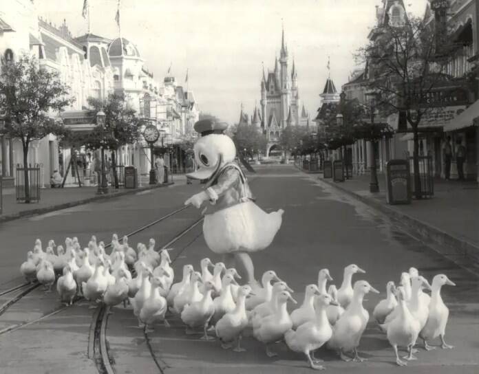 Donald Duck makes his way Around the World