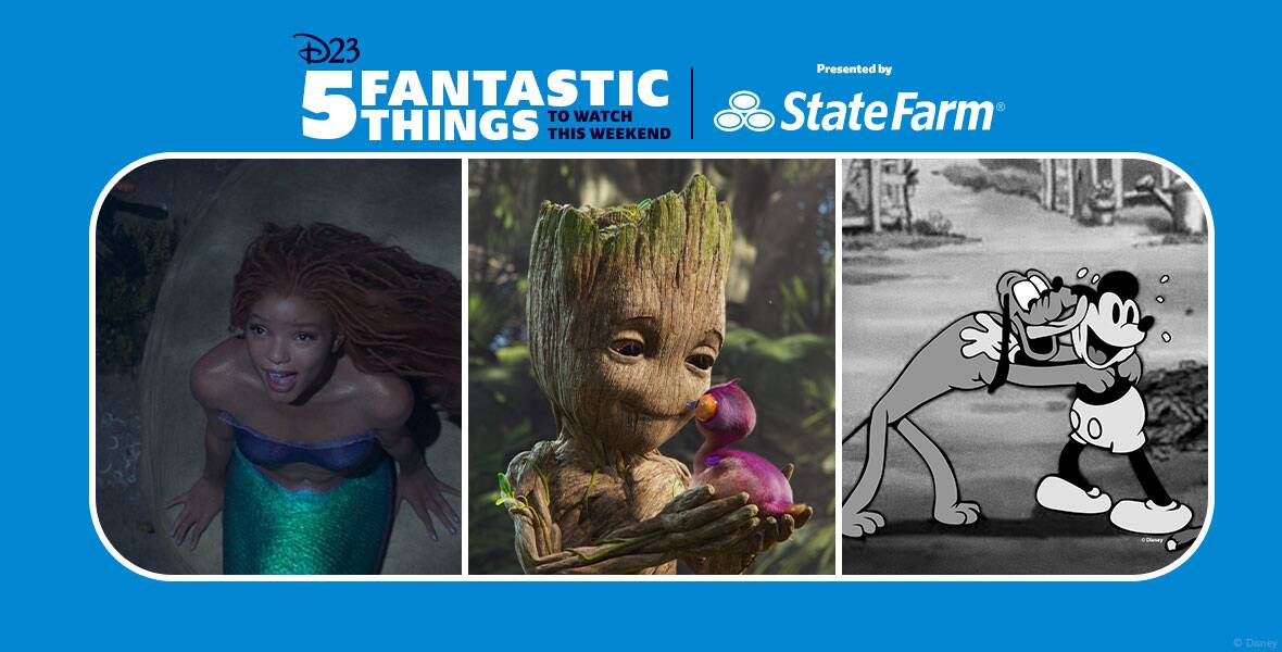 Left: In an image from Disney’s live action The Little Mermaid, Ariel (Halle Bailey) is underwater and looking up towards the surface; sunlight is shining through the water on her face. She is sitting on a rock on the ocean floor and singing. Middle: In an image from the second season of Disney+’s I Am Groot, Baby Groot (voiced by Vin Diesel) is looking lovingly at a bird-like creature with orange eyes and purple feathers, which he’s holding in his hands. Right: In an image from the 1934 black and white Walt Disney animated short Playful Pluto, Pluto has jumped up onto Mickey Mouse, throwing his front paws around his shoulders, and is licking his face. Mickey is laughing and smiling.