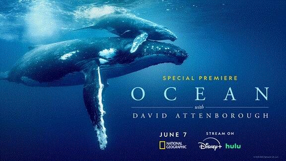 Through compelling firsthand accounts and stunning, immersive cinematography, OCEAN WITH DAVID ATTENBOROUGH tells the untold story of the importance and health of our ocean.